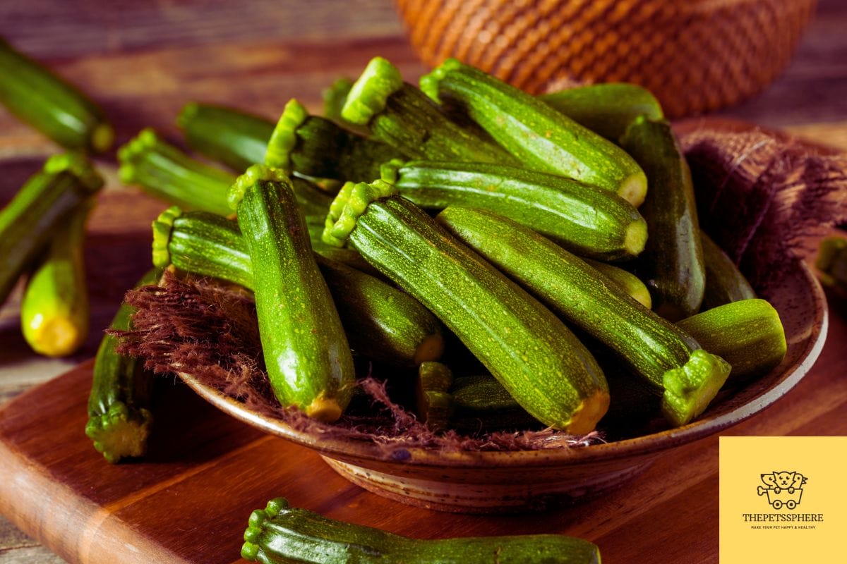 Can Cats Eat Zucchini? 3 Steps to Cook Zucchini for Cats The Pet's Sphere