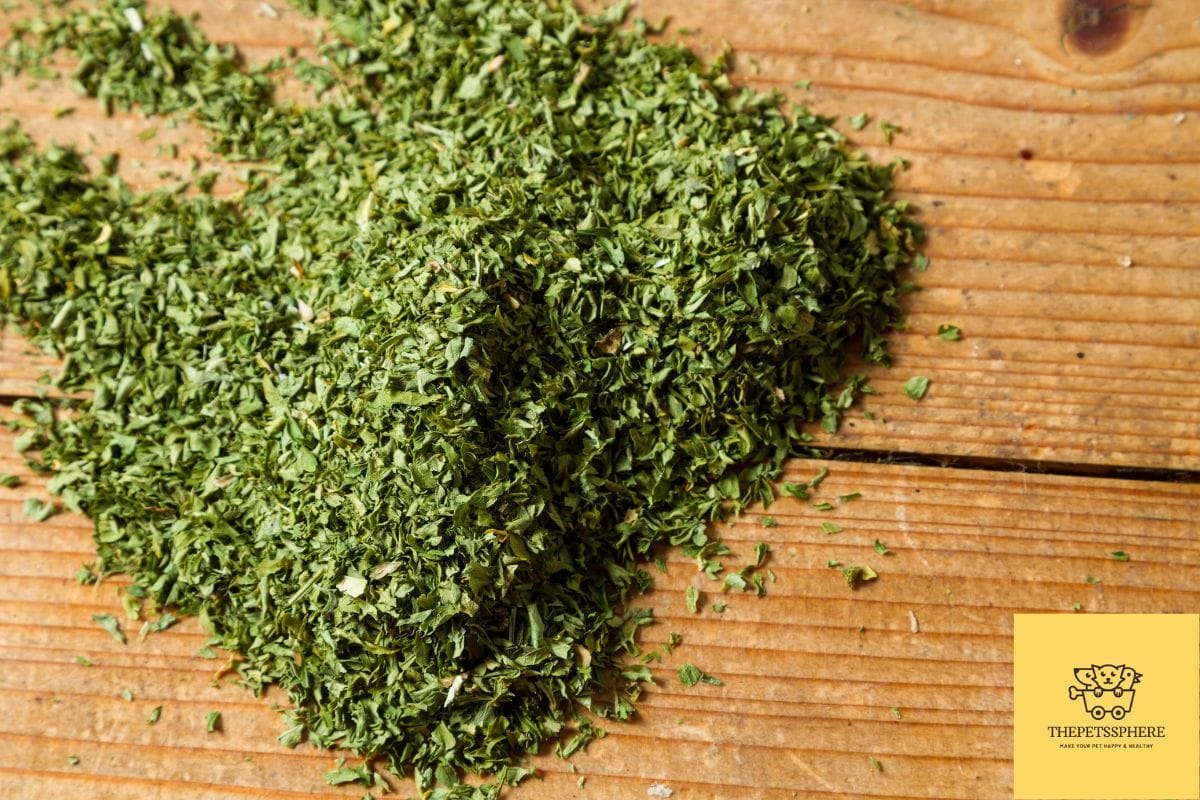 Can Cats Eat Parsley? Is it a Safe Herb for your Cat? The Pet's Sphere