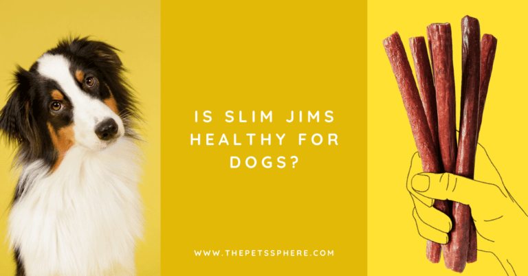 is-slim-jims-healthy-for-dogs-the-pet-s-sphere